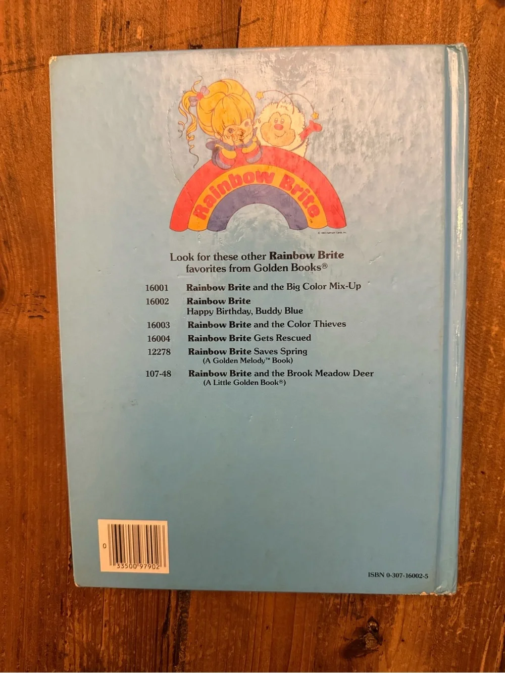 VTG Rainbow Brite Happy Birthday Buddy Blue Hardcover Book - Rainbow Brite